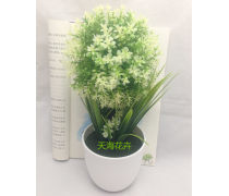 濟南盆景產品庫 奇石盆景的價格、圖片與廠家指南